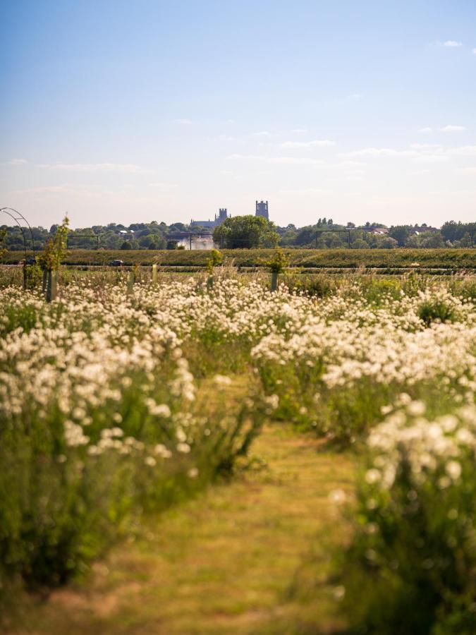 Hatters Meadows Glamping Ely Exteriér fotografie
