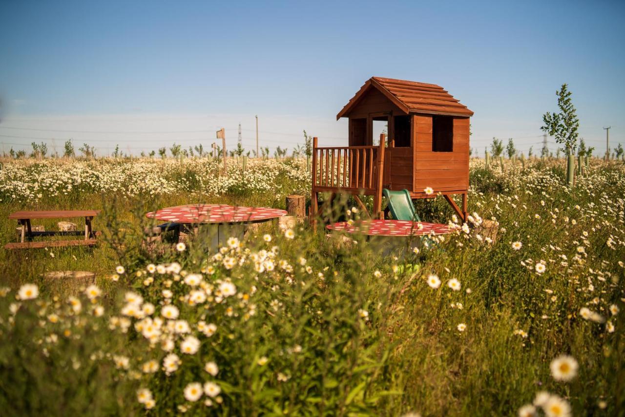 Hatters Meadows Glamping Ely Exteriér fotografie