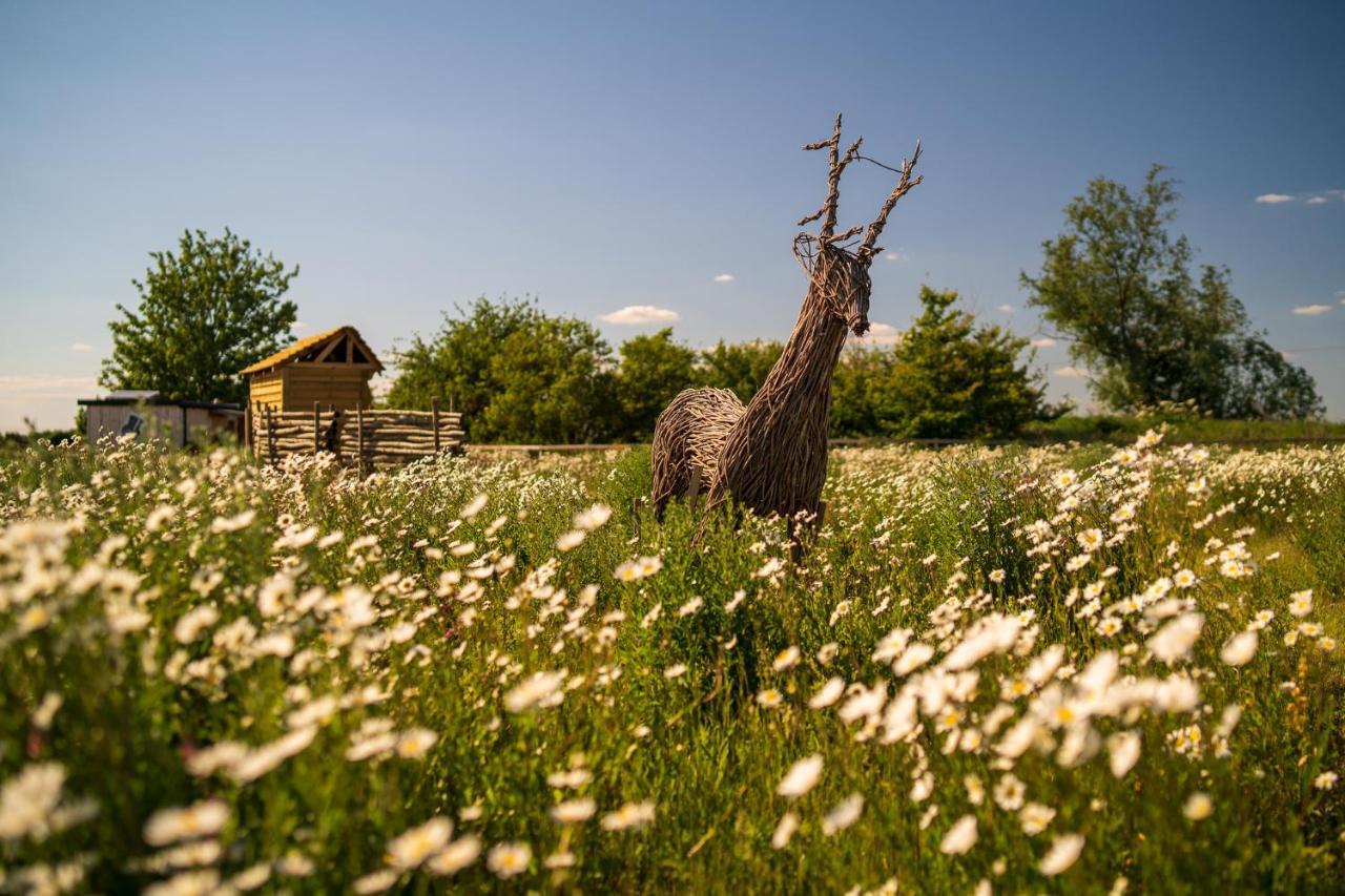 Hatters Meadows Glamping Ely Exteriér fotografie